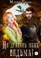 Не драконь меня, ведьма! (СИ)