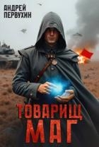 Товарищ маг (СИ)