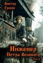 Инженер Петра Великого 11 (СИ)